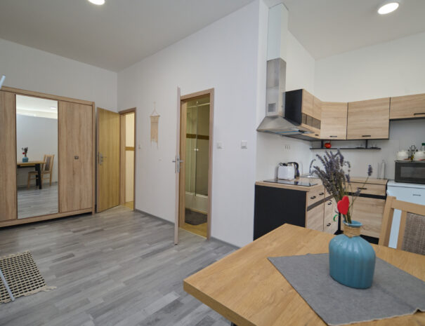 CENTRAL APARTMENTS MARTIN